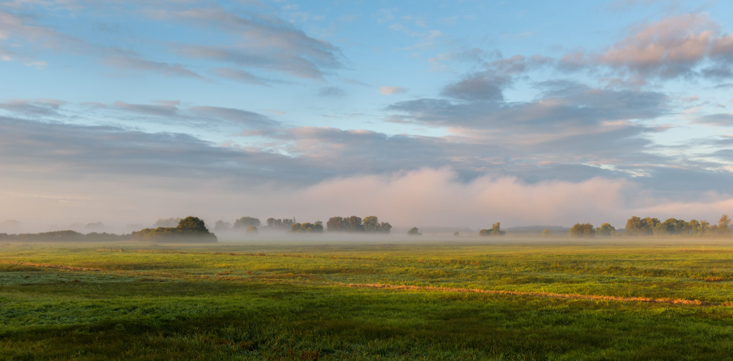 Sonnenaufgang im Naturpark Westhavelland in Brandenburg