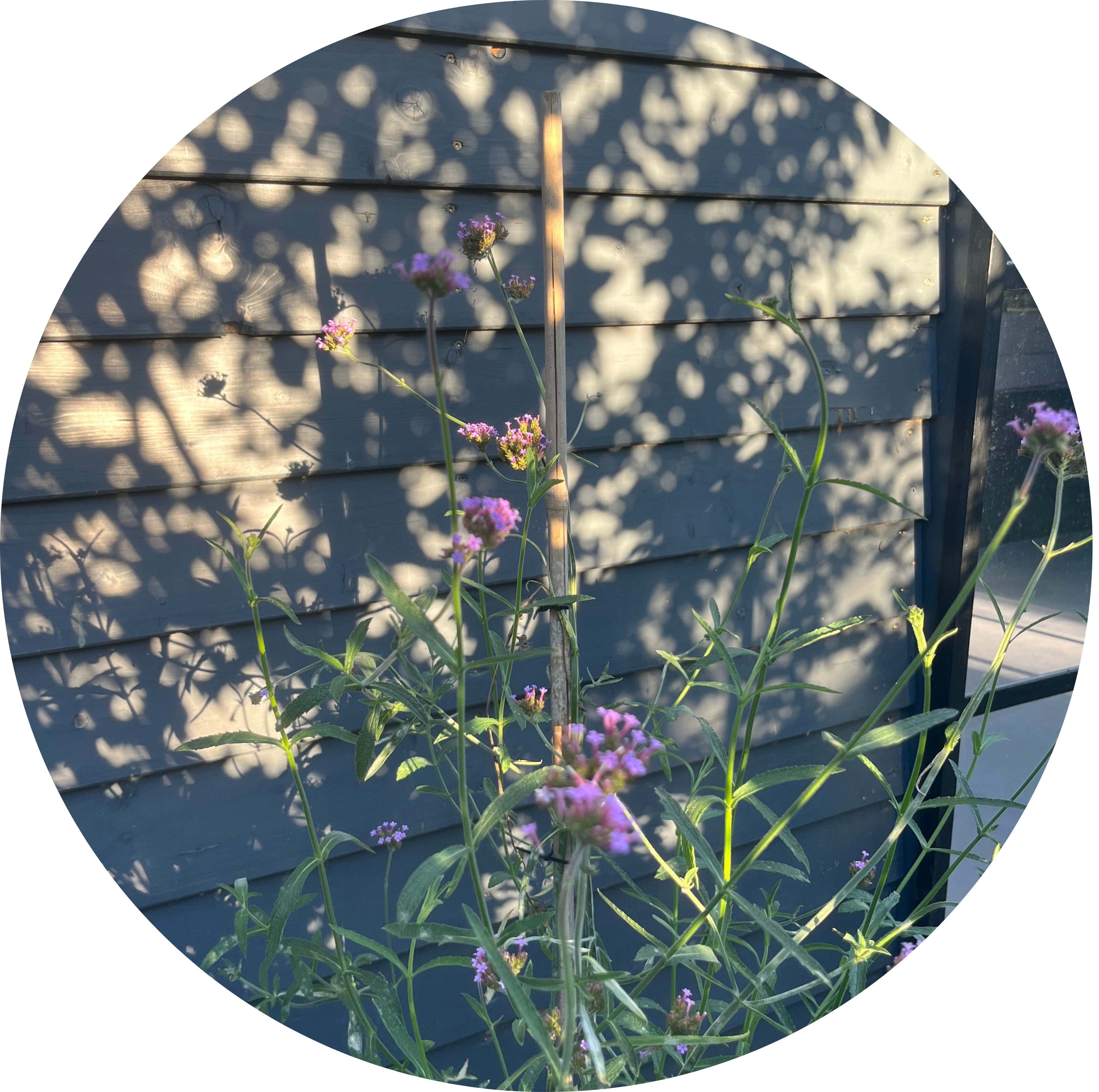 Unterwegs – oder im Garten. Draußen sammle ich Inspiration